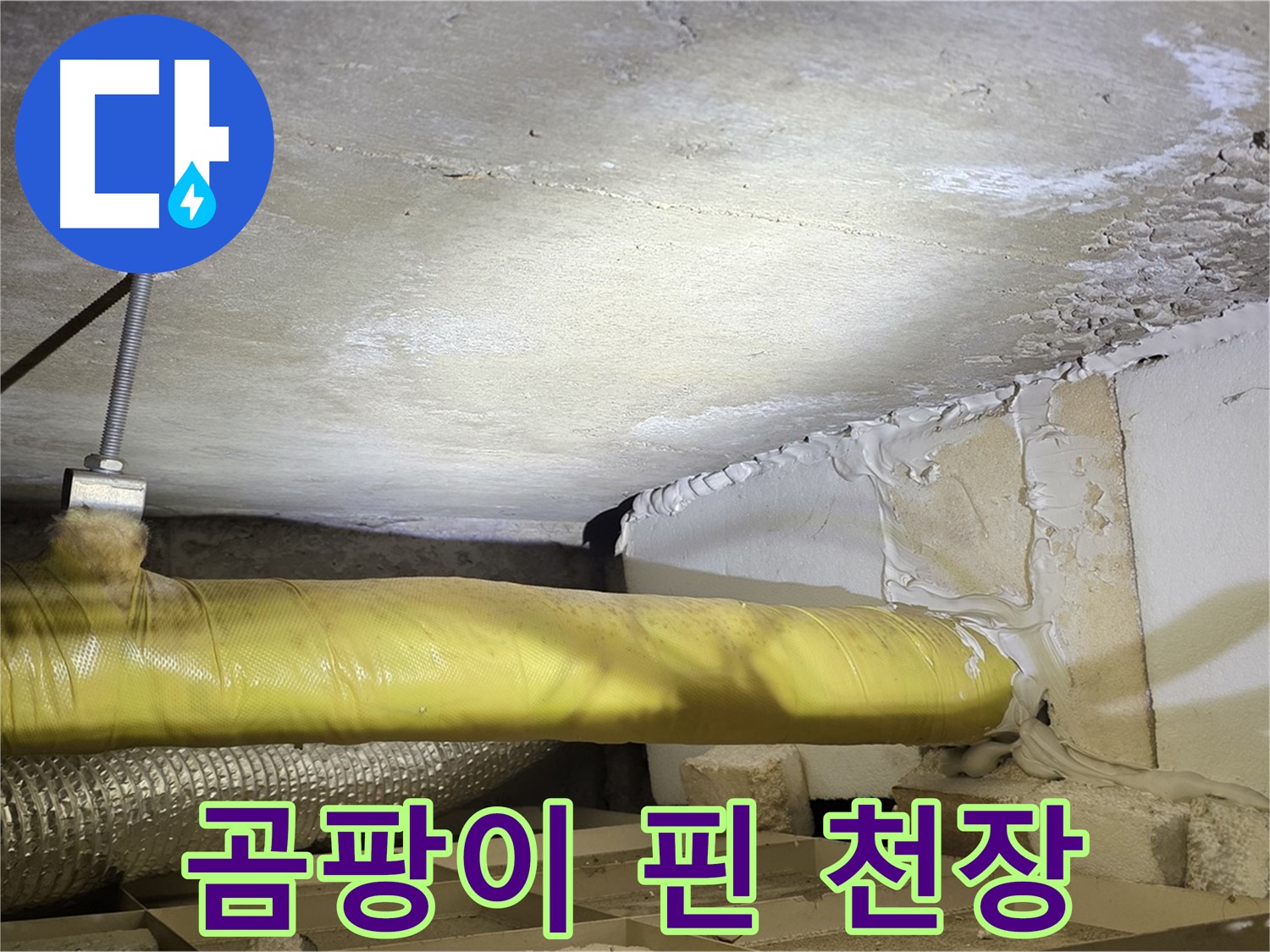 새절역 현대아파트 누수 - 곰팡이로 오염된 천장 - 누수 피해의 심각성을 보여줍니다.