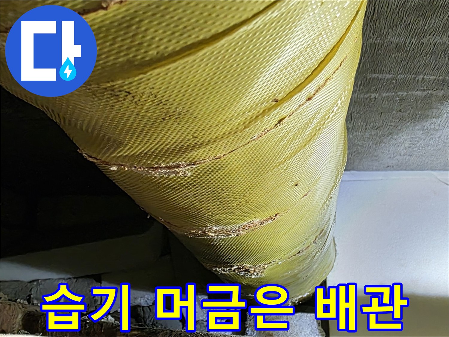 습기 머금은 배관 - 낡은 보온재 - 곰팡이 번식