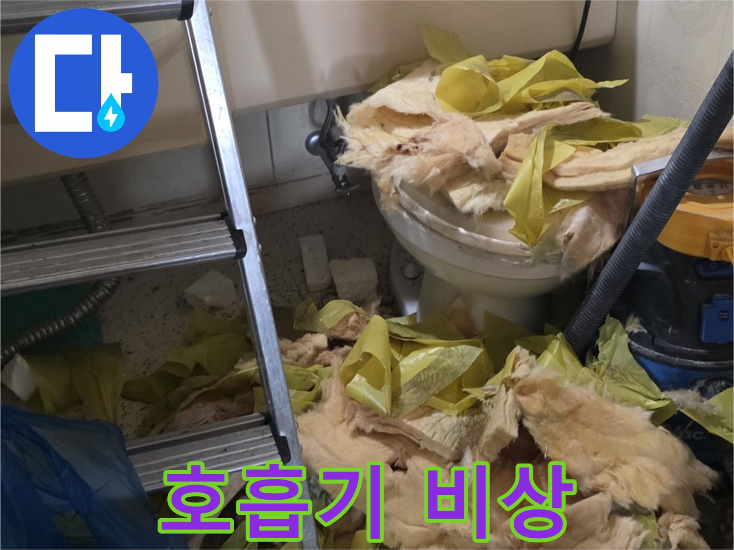 신사동 누수 현장 - 곰팡이 포자 가득한 낡은 보온재 - 호흡기 건강 위협