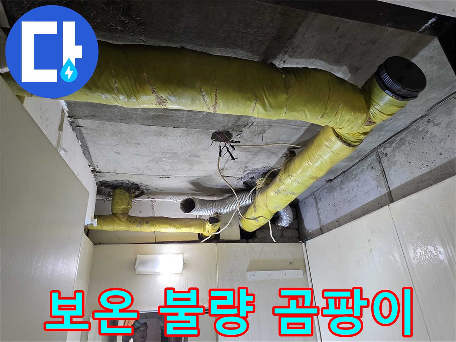 신사동 새절역 현대아파트 - 곰팡이 발생