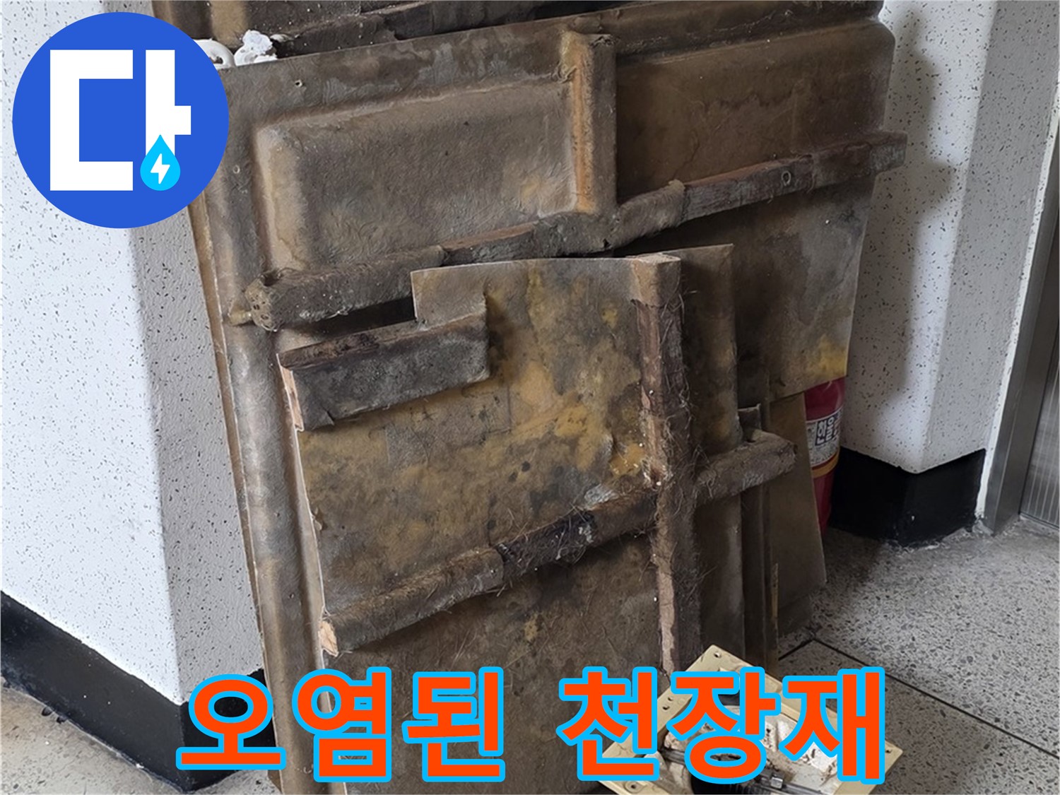 오염된 천장재와 조명 - 교체가 시급합니다