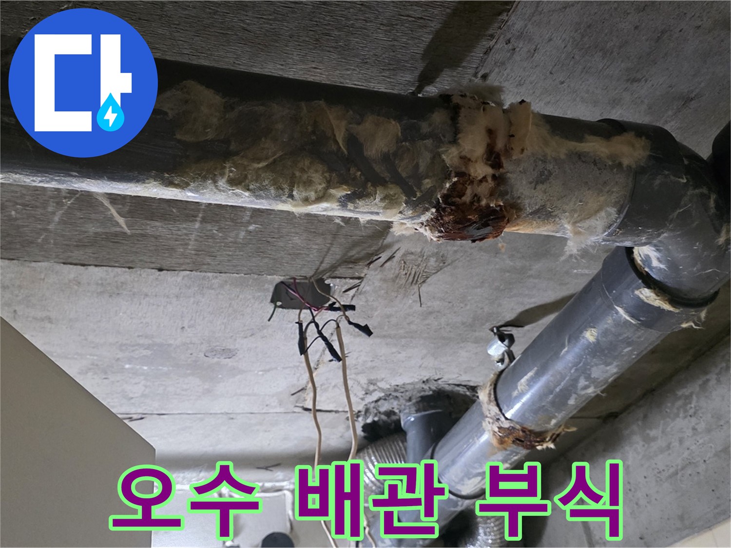 은평구 신사동 누수 - 오수 배관 부식 문제 해결