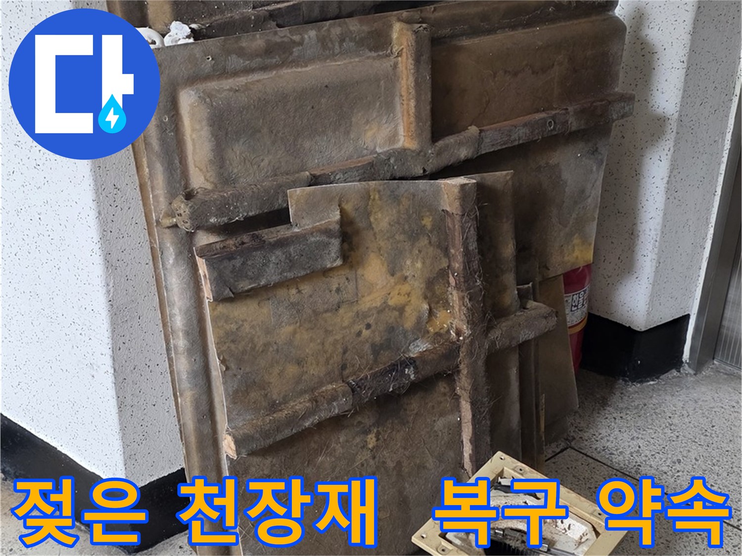 젖은 천장재와 조명 - 완벽한 복구 약속