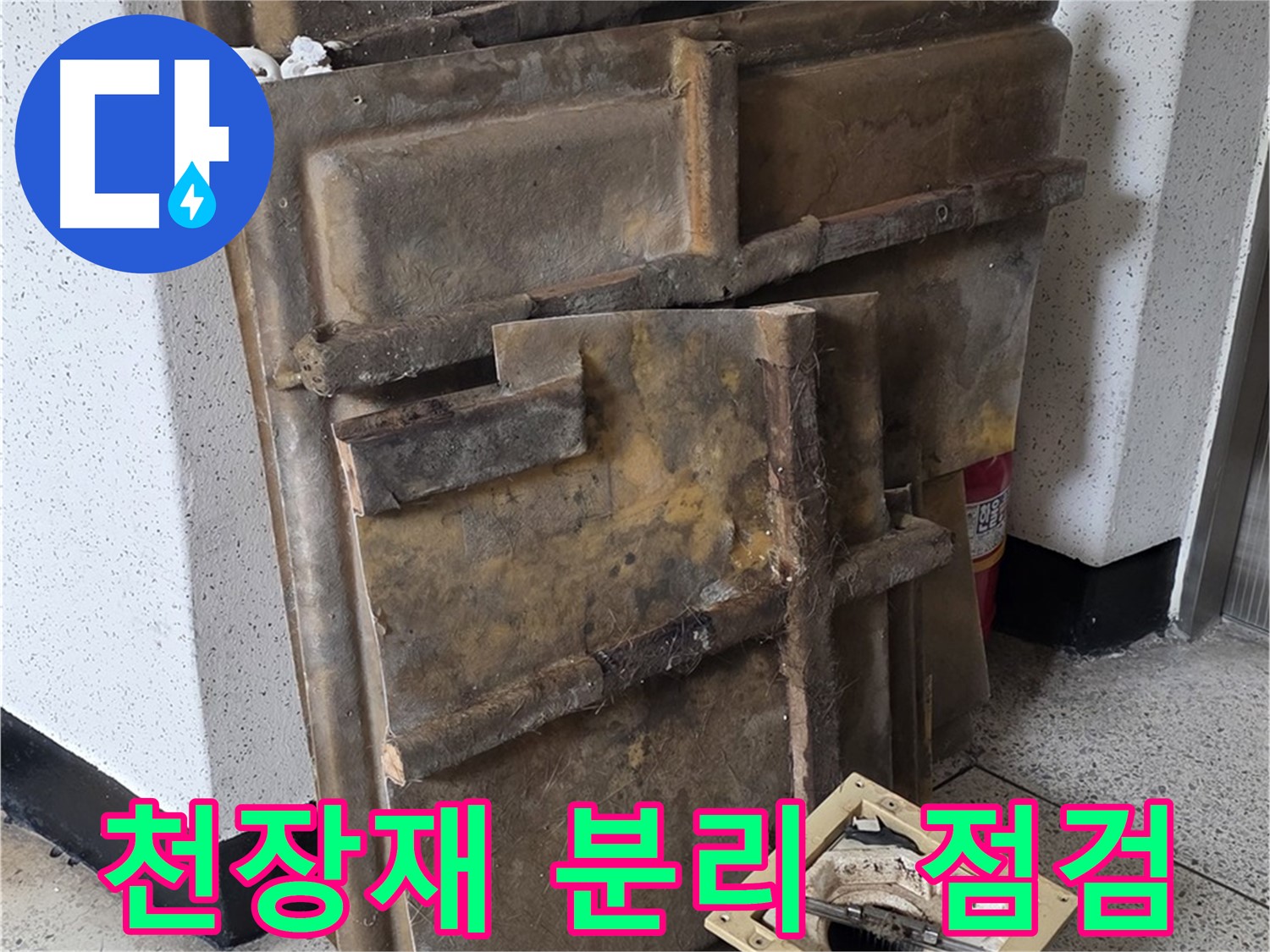 천장재 꼼꼼 분리 후 누수 점검 시작