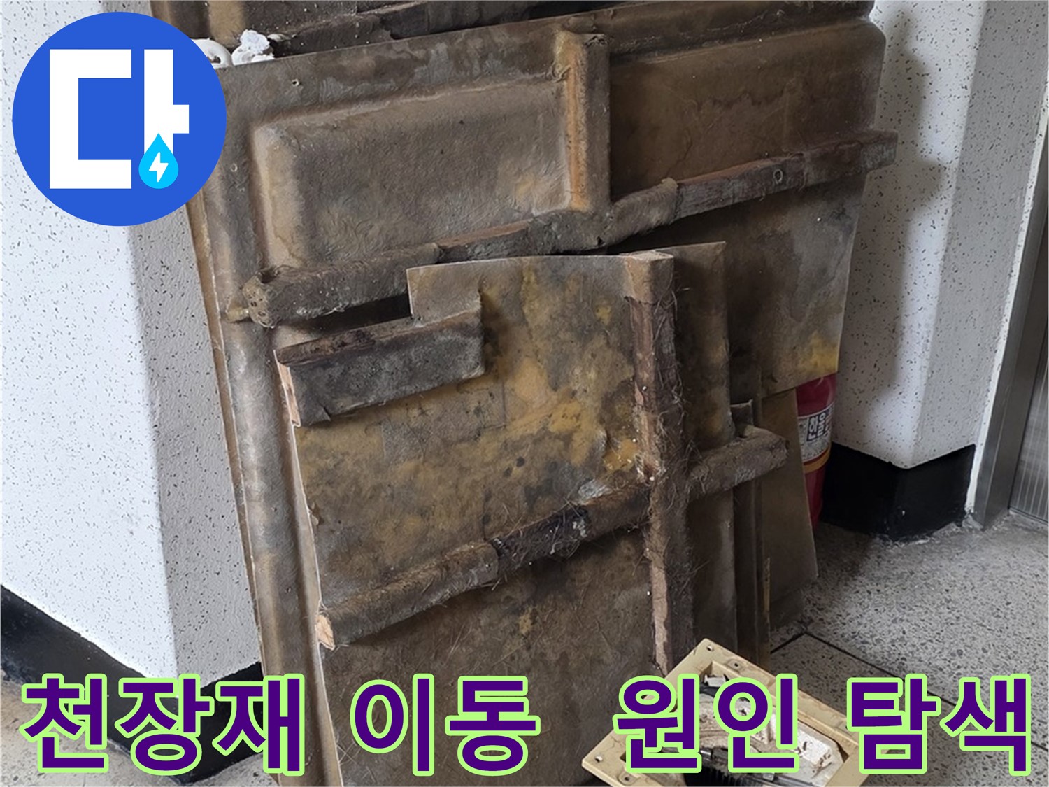 천장재와 조명 한쪽으로 옮기고 누수 원인 탐색