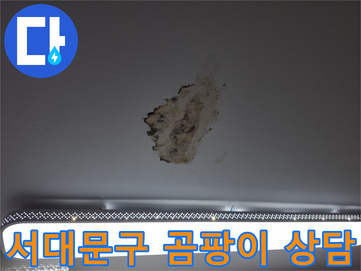 곰팡이 핀 천장 - 더 이상 고민하지 마세요