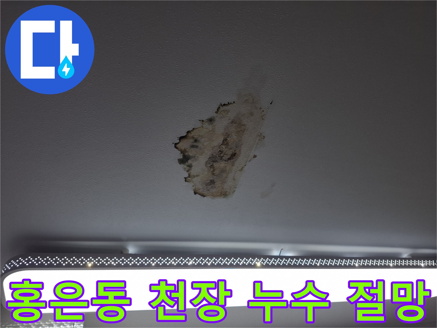 누수 얼룩 - 천장의 절망적인 외침
