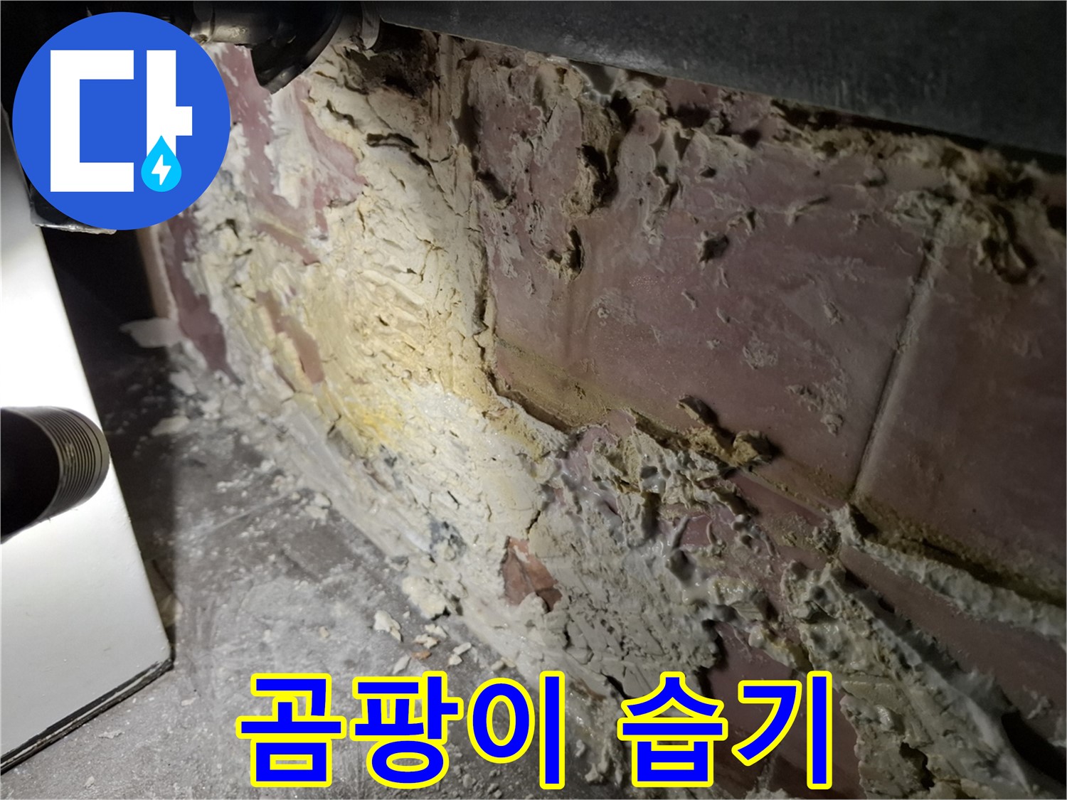 홍은동 누수 - 곰팡이와 습기로 인한 피해