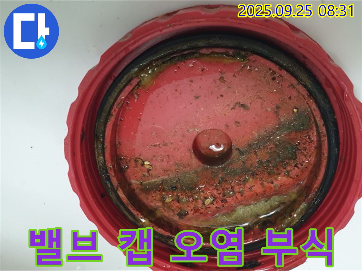 광적면 밸브 캡 내부 오염 및 부식 확인 - 누수 원인을 분석하고 철저하게 해결합니다.