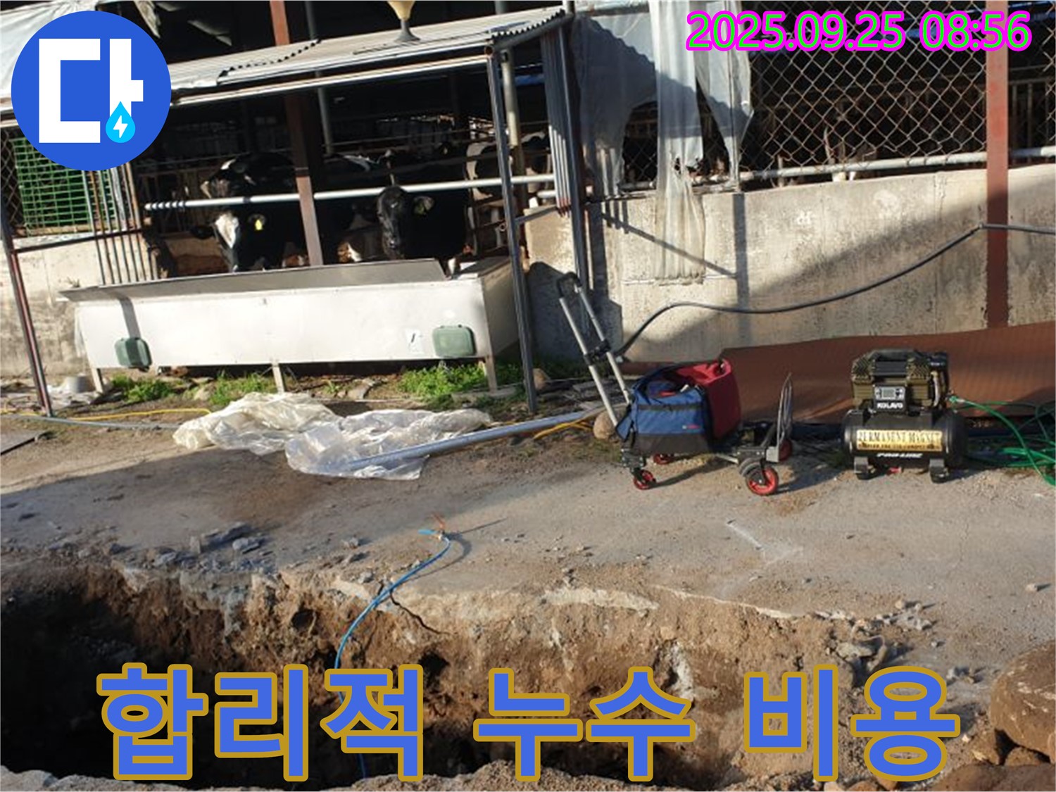 양주시 백석읍 축사 누수 - 합리적인 가격으로 누수 문제를 해결해 드립니다