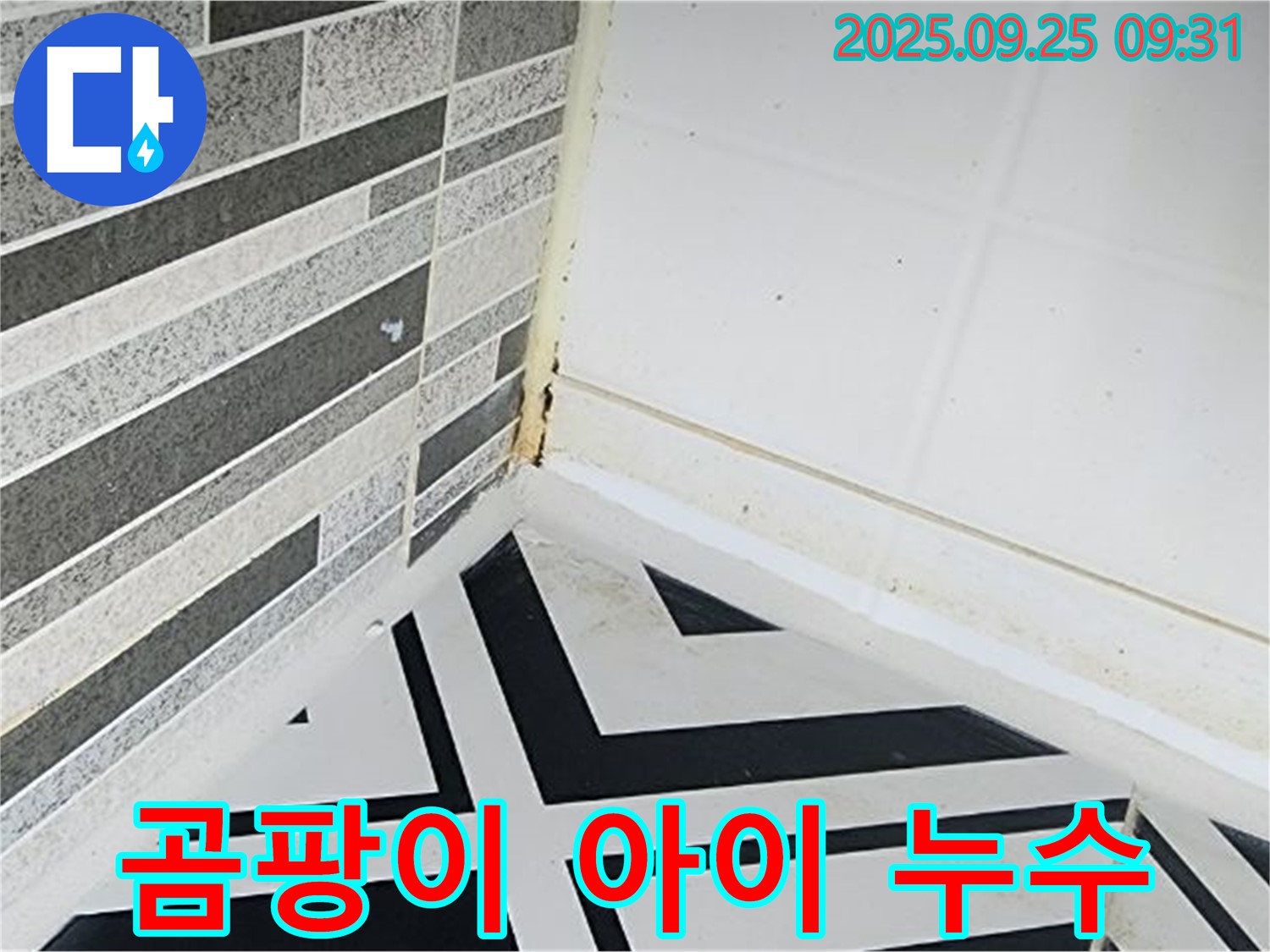 양주시 백석읍 오산리 - 곰팡이가 있는 욕실에서 아이가 생활하는 모습 - 아이 건강에 악영향을 미칠 수 있음