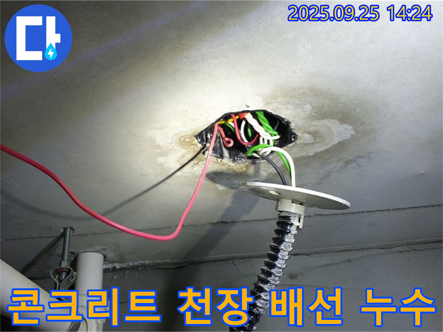 의정부1동 누수탐지 - 콘크리트 천장 배선 주변 누수 의심 부위 정밀 진단