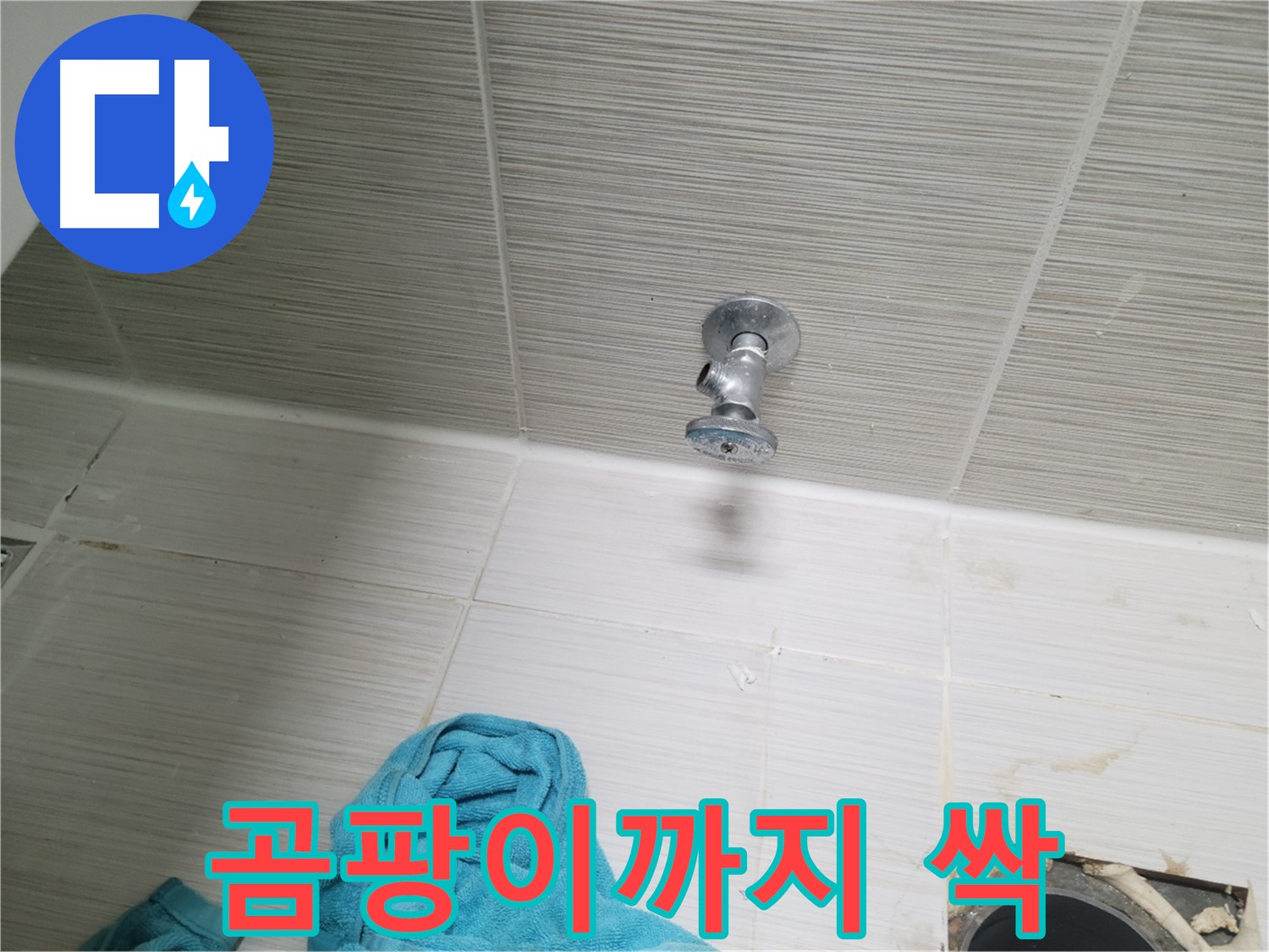 동두천 누수 - 샤워기 앵글밸브 누수, 주변 곰팡이까지 싹!