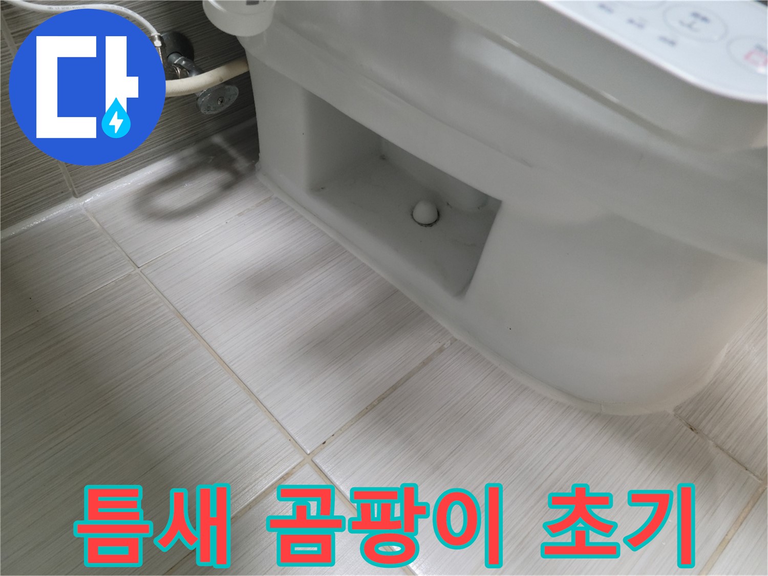 동두천 변기 누수 - 틈새 곰팡이 초기 - 습기 주의