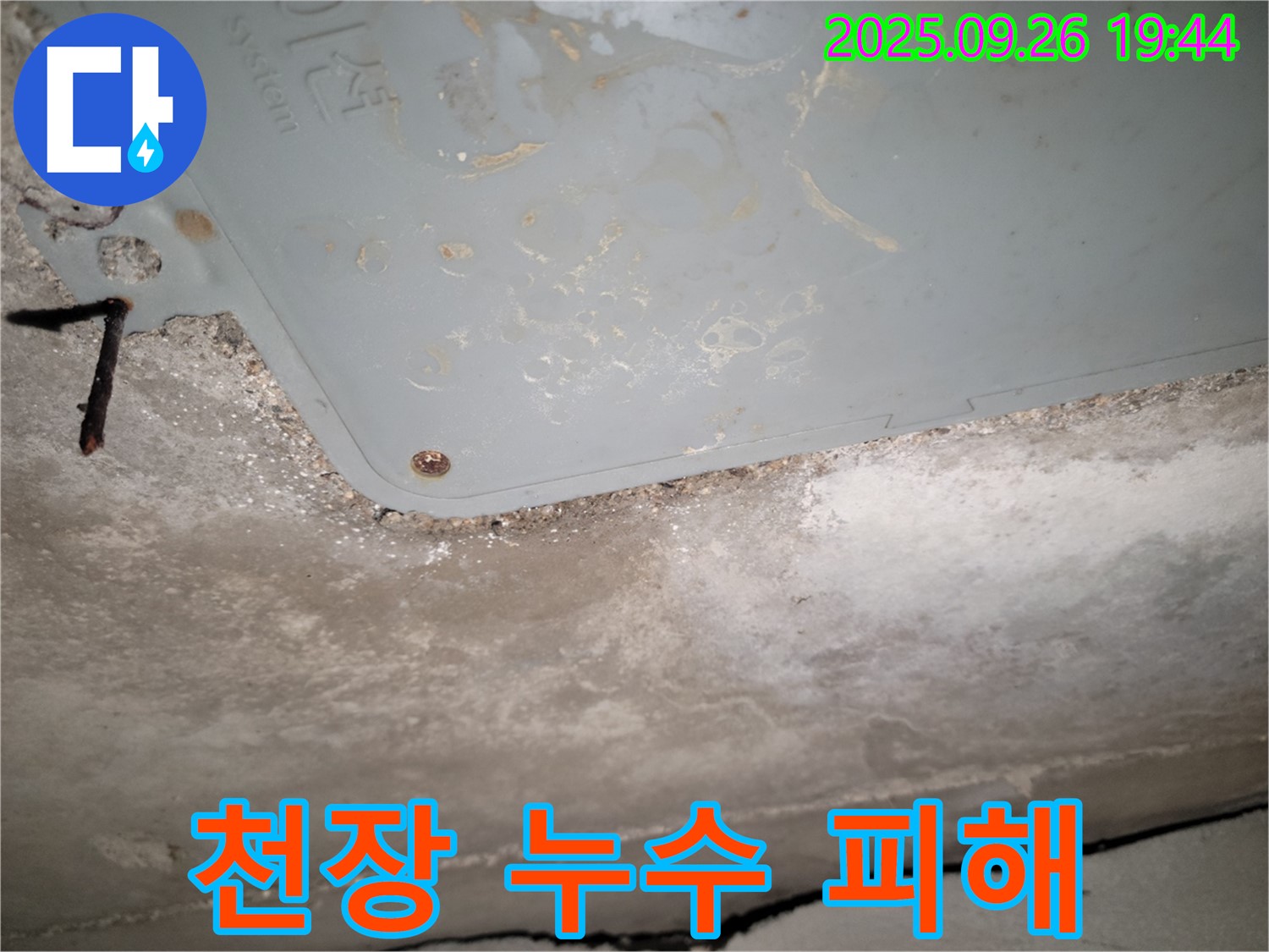 동두천 상가 천장 누수 - 누수 피해 상황을 점검하고 복구 계획 수립