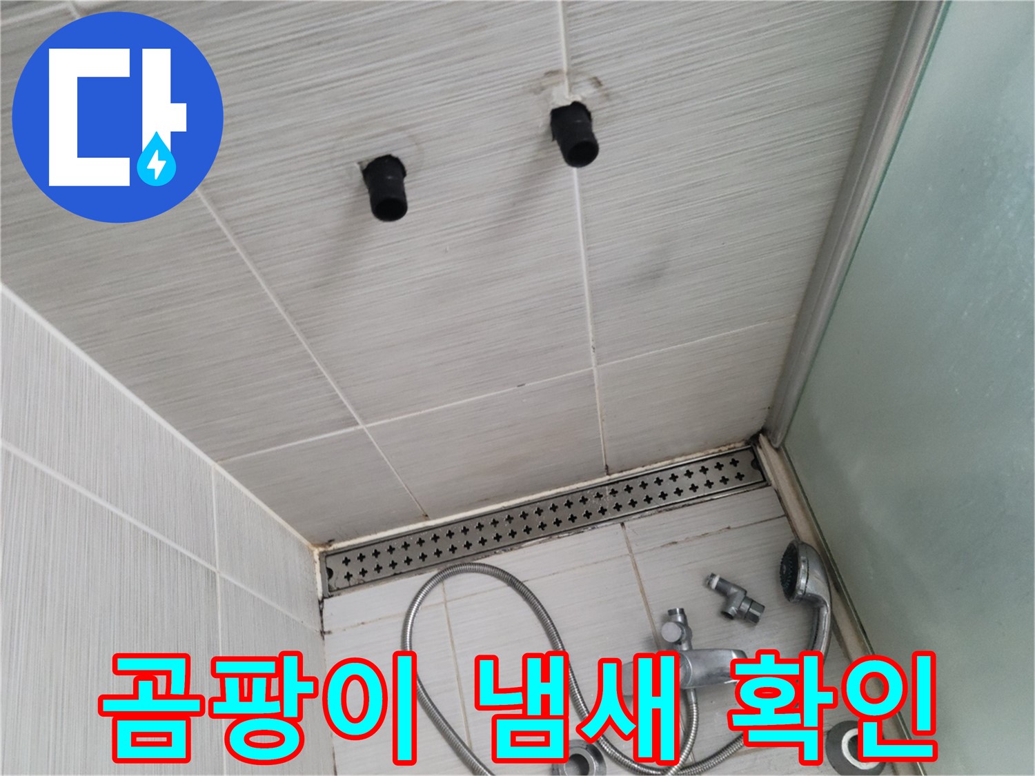 동두천 신창비바 - 샤워기 철거 후 벽면 타일 틈새 곰팡이 냄새 확인