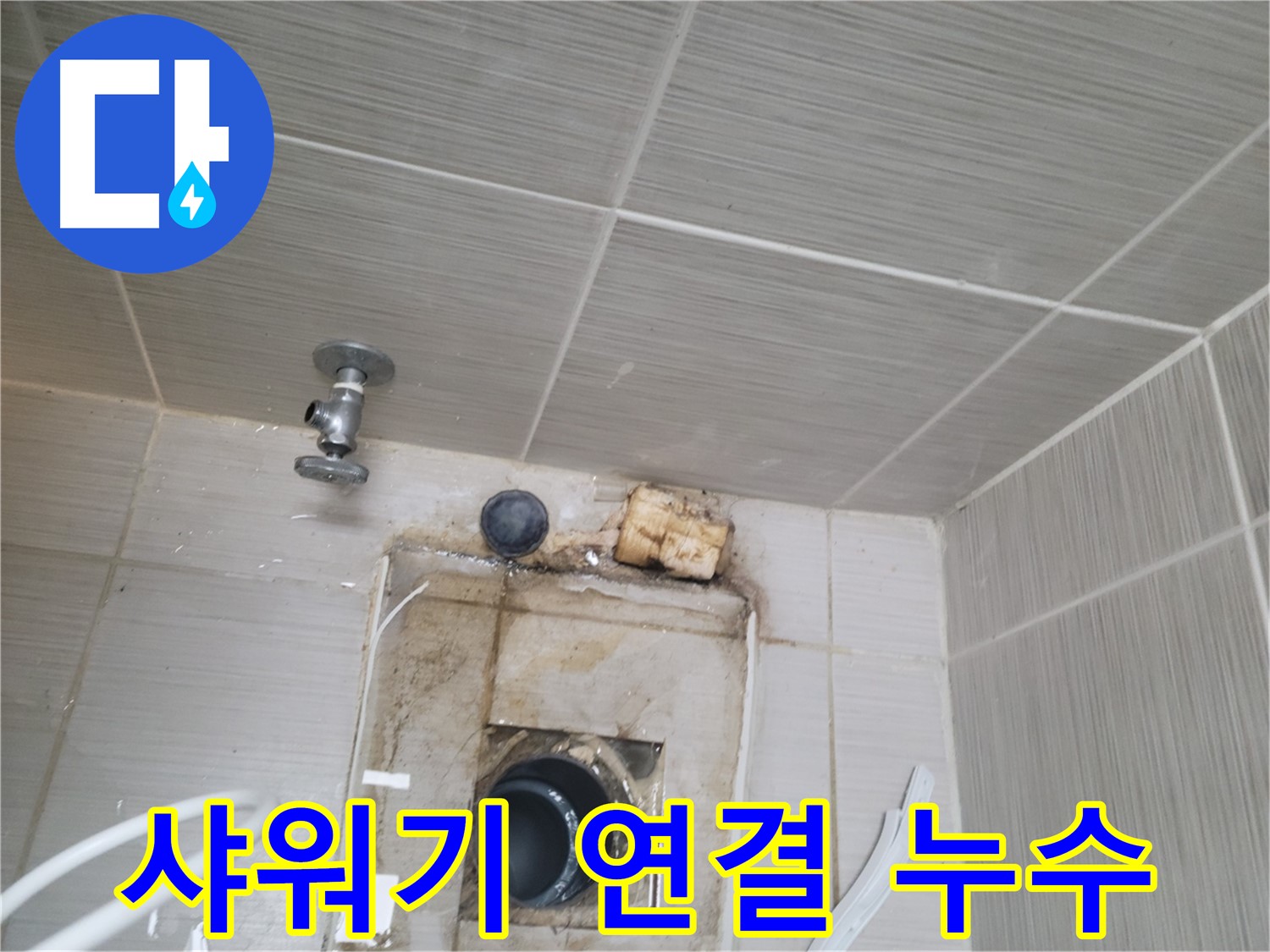 동두천 신창비바패밀리-2단지 샤워기 연결 부위 누수 및 물때