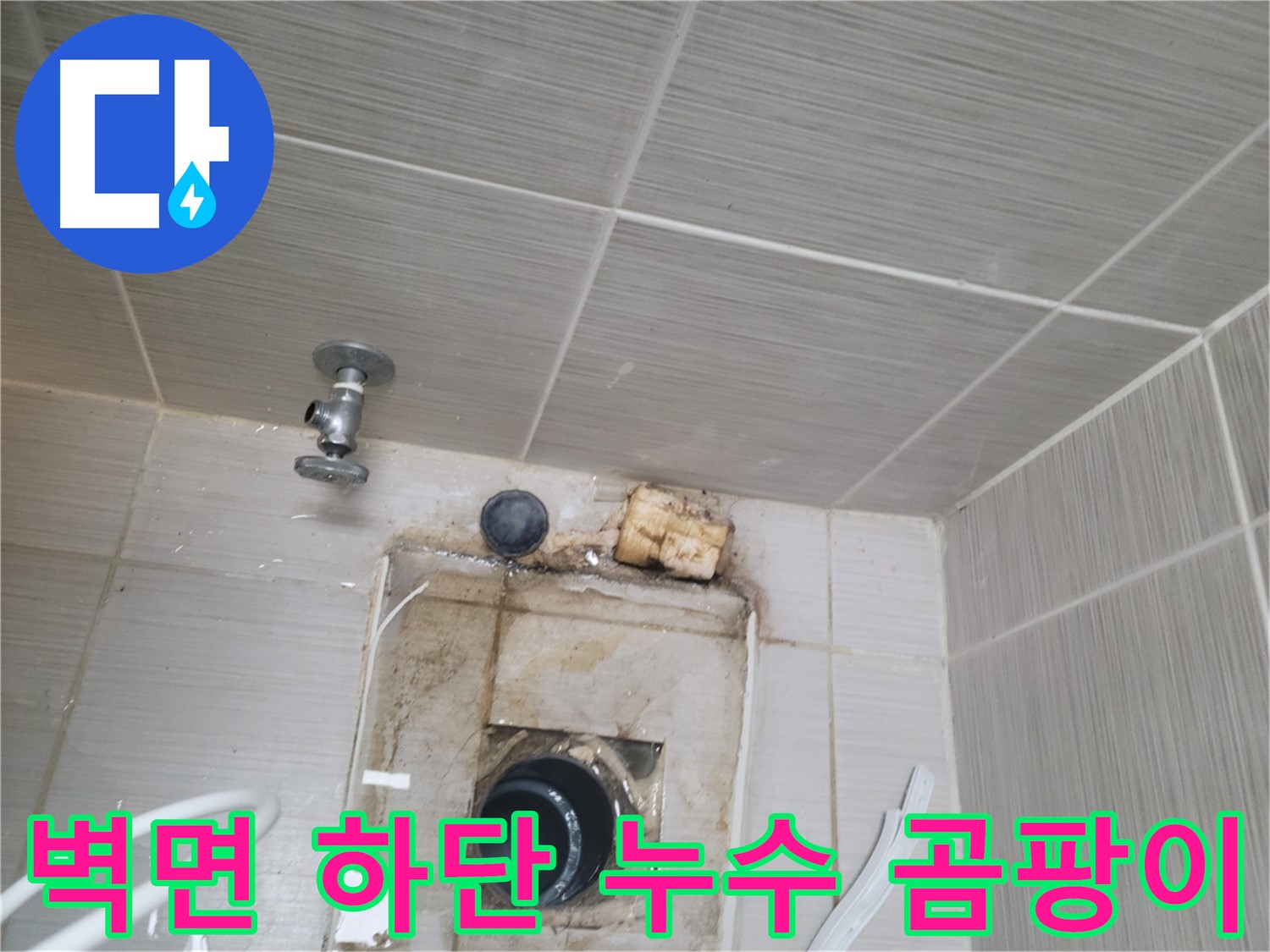 동두천 신창비바패밀리-2단지 욕실 벽면 하단 누수 및 곰팡이
