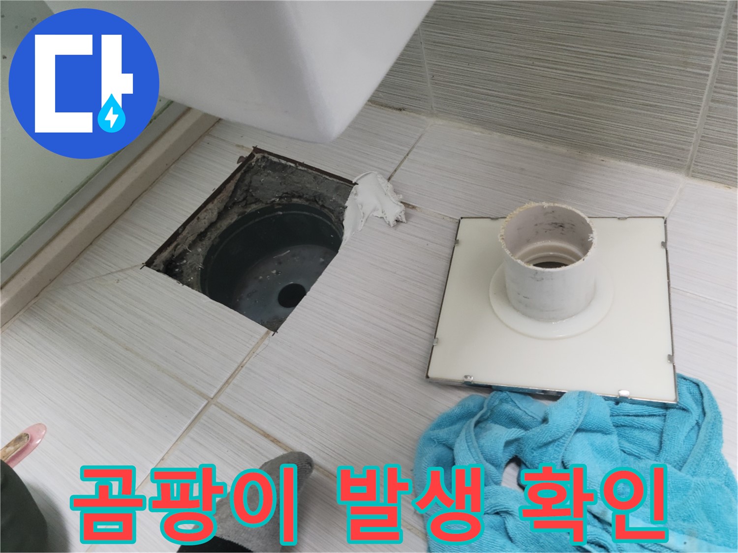 동두천 화장실 배수구 주변 곰팡이 발생 확인 - 누수 의심
