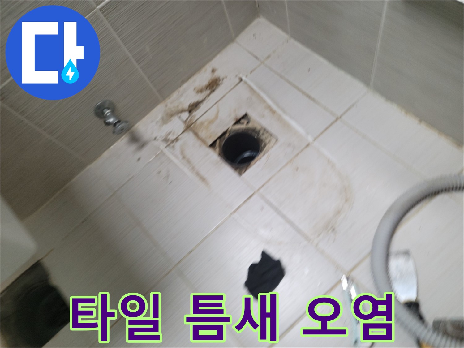 동두천시 보산동 - 욕실 하수구 주변 타일 틈새 오염 - 누수 의심