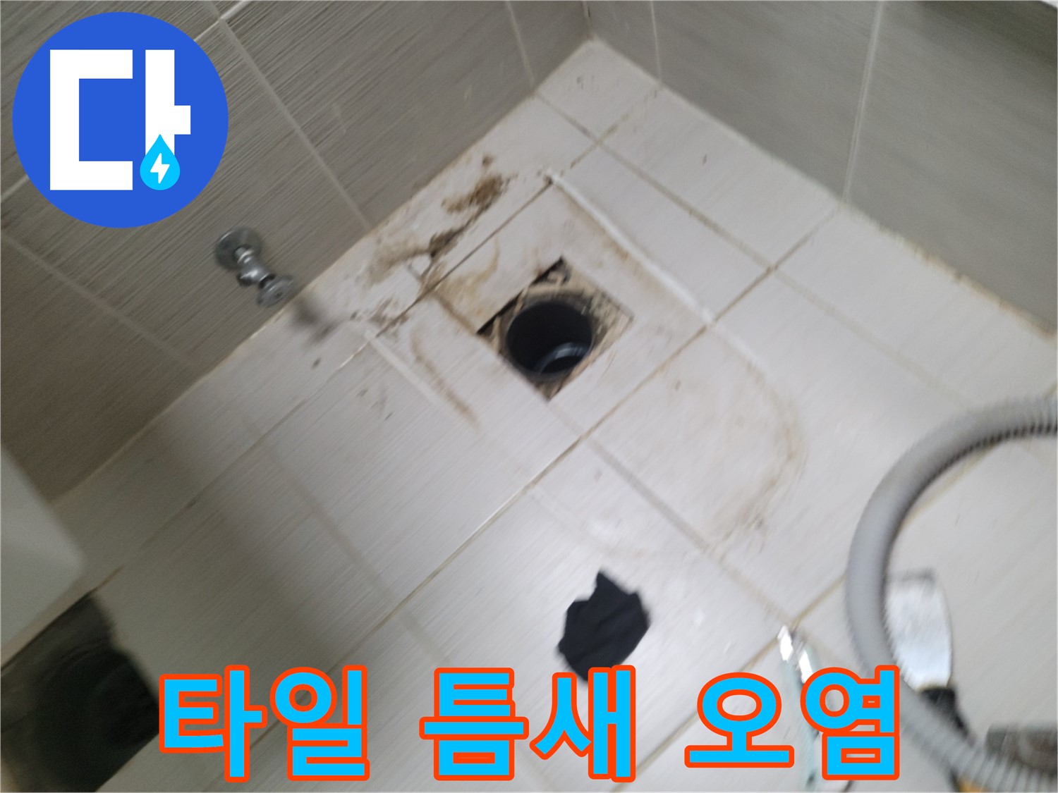 동두천시 보산동 - 욕실 하수구 주변 타일 틈새 오염 - 누수 의심
