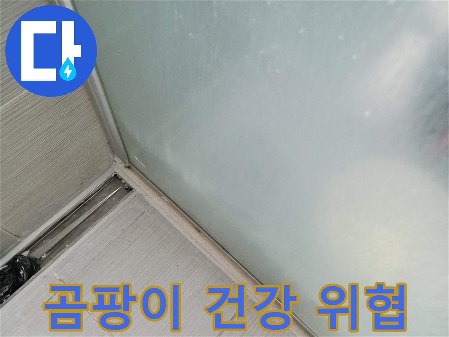 샤워부스 누수 - 곰팡이 - 건강 위협
