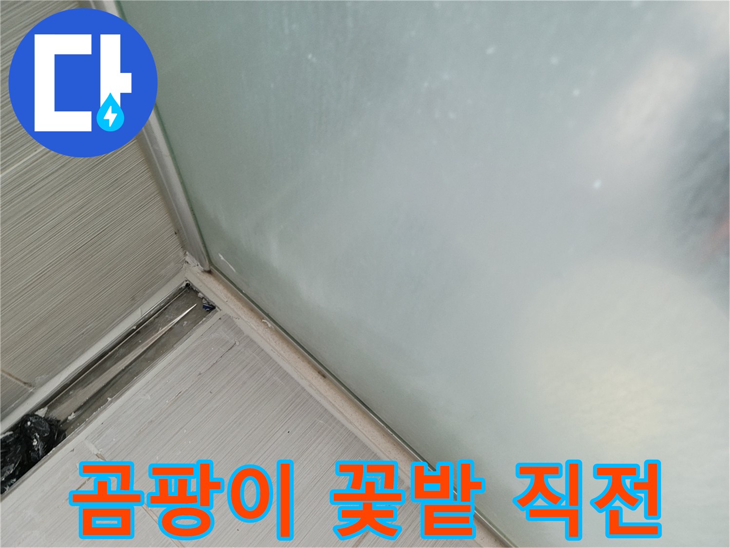 샤워부스 누수 - 곰팡이 꽃밭 - 실리콘 들뜸