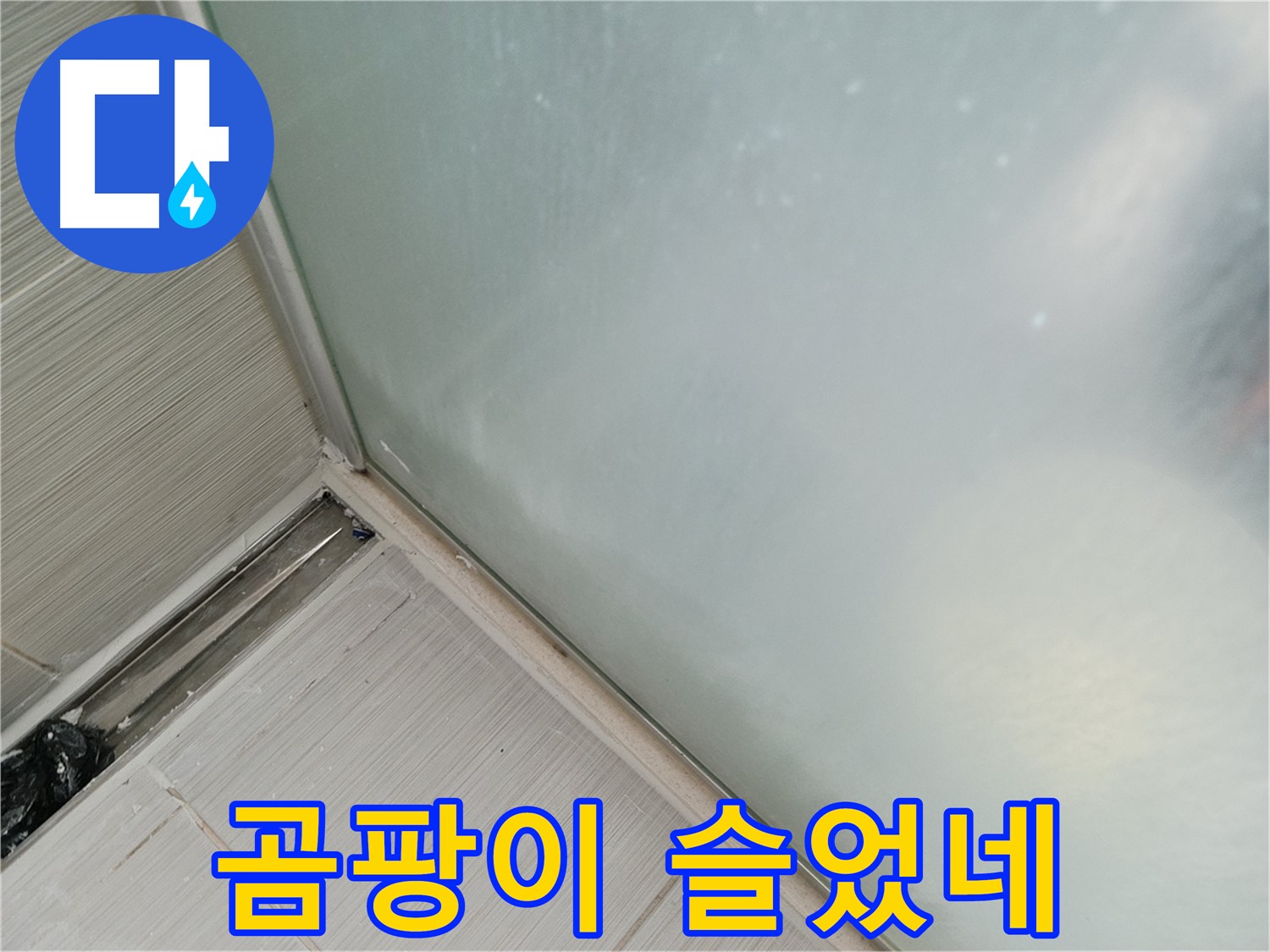 샤워부스 누수 - 곰팡이 문제 - 건강 위협