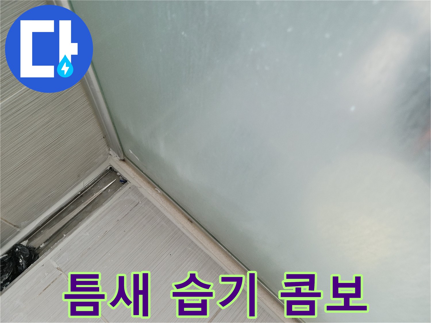 샤워부스 누수 - 틈새 - 습기 - 곰팡이 폭탄