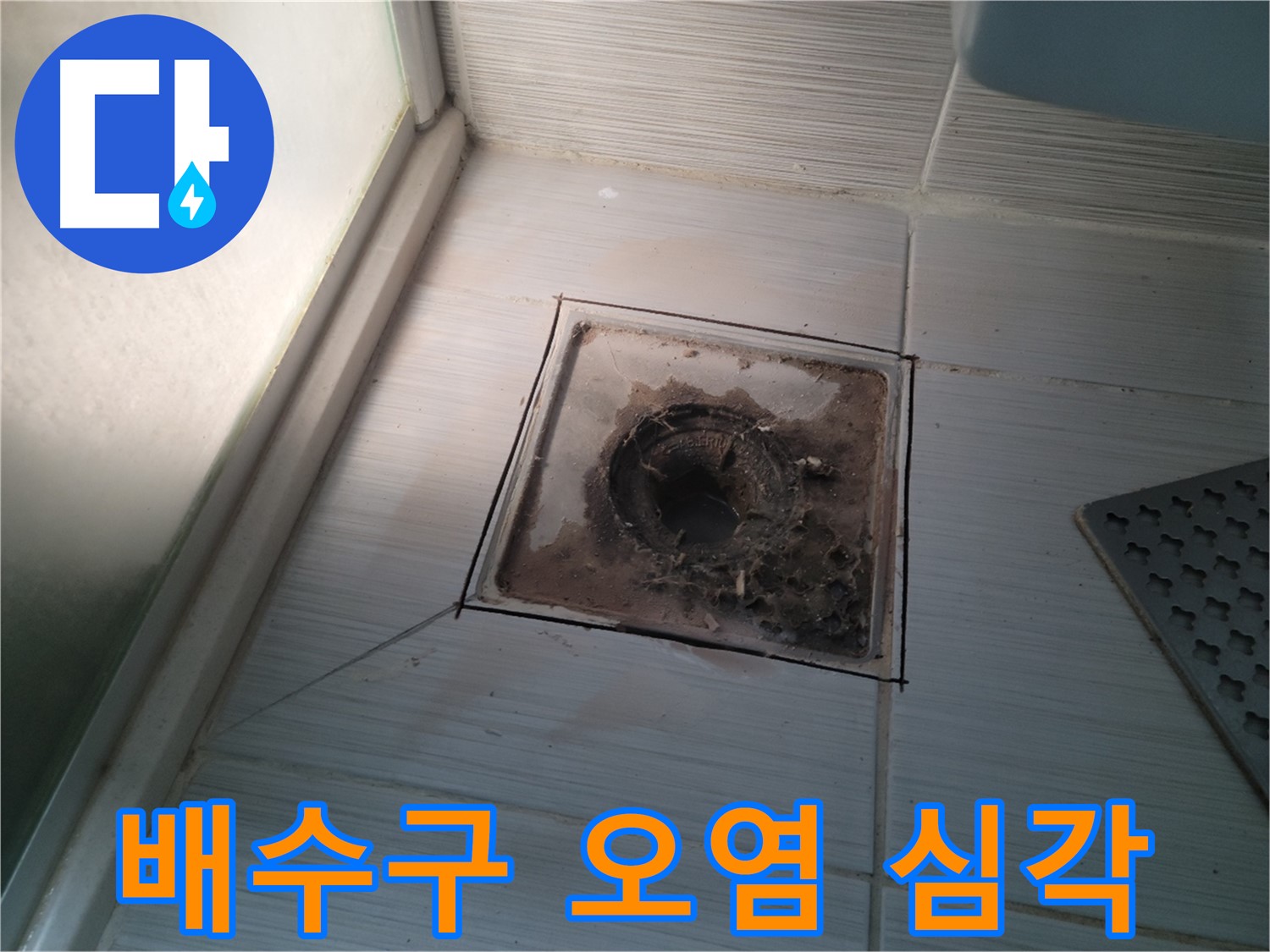 신창비바패밀리 욕실 배수구 - 오염 심각, 누수 긴급 점검 필요!