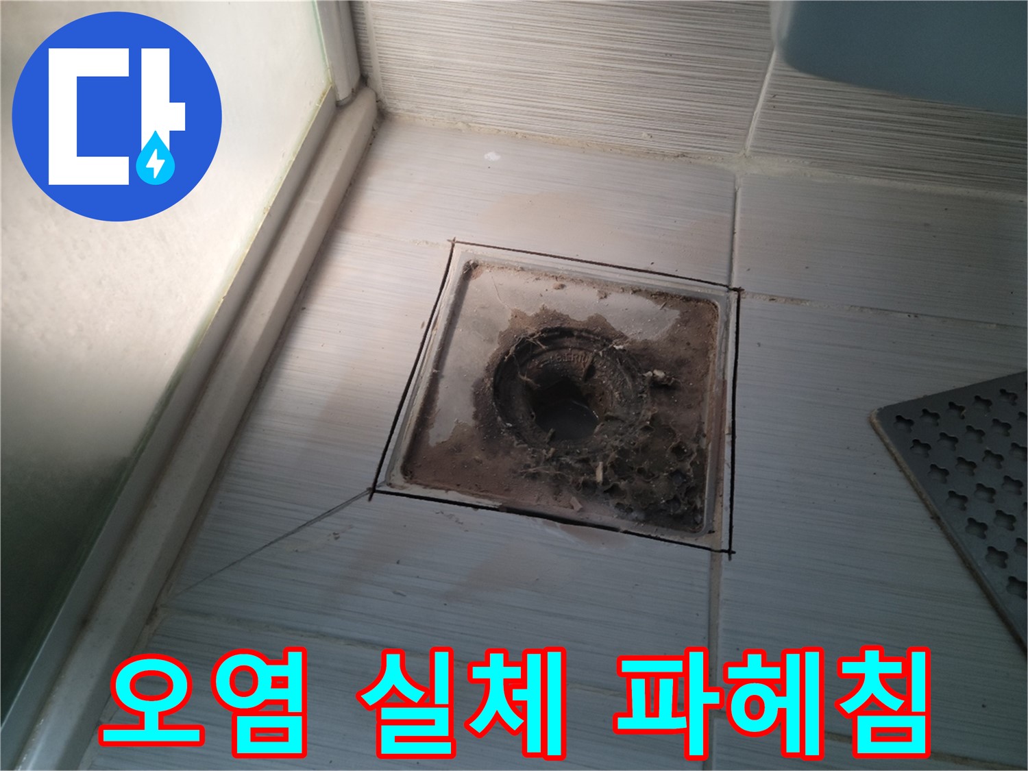 신창비바패밀리 욕실 배수구 - 오염의 실체를 파헤치다!