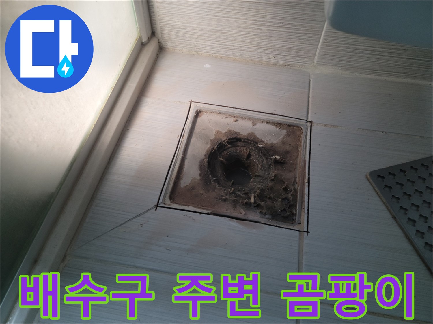 신창비바패밀리 욕실 배수구 주변 - 곰팡이 발견, 누수 위험!
