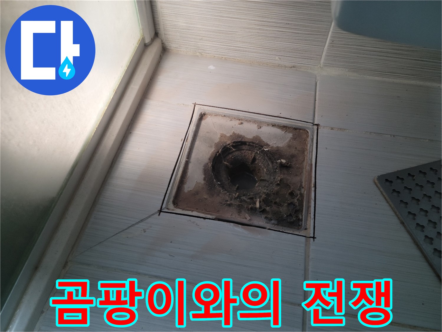 신창비바패밀리 욕실 배수구 주변 - 곰팡이와의 전쟁!