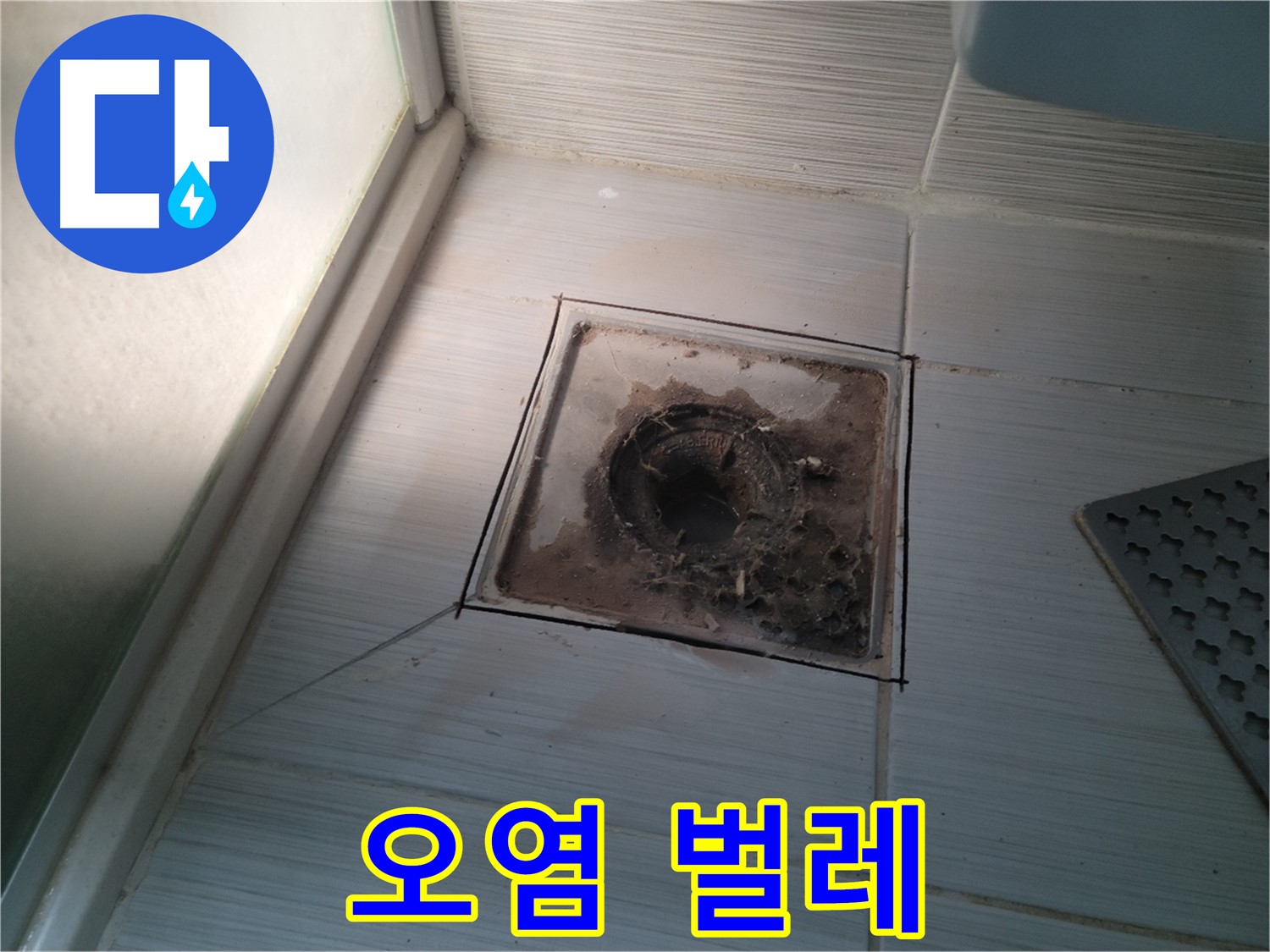 신창비바패밀리 욕실 배수구 주변 - 오염과 함께 벌레 발생