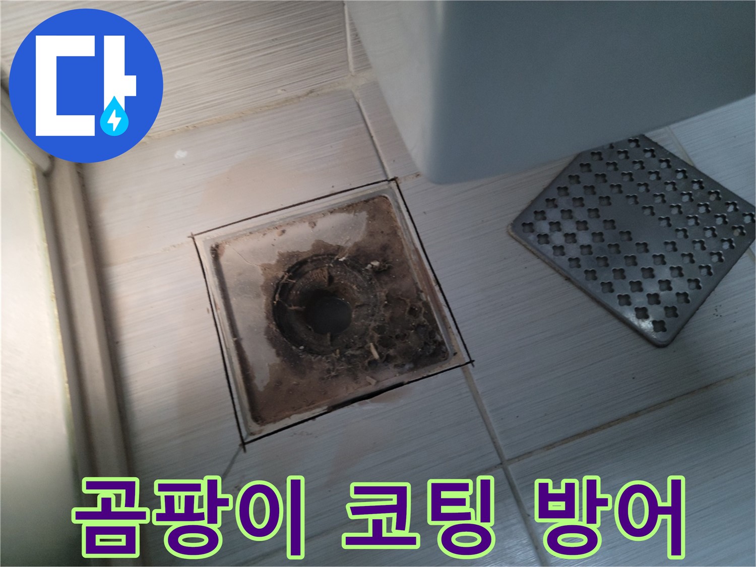 욕실 배수구 - 곰팡이 완벽 차단 - 코팅 시공