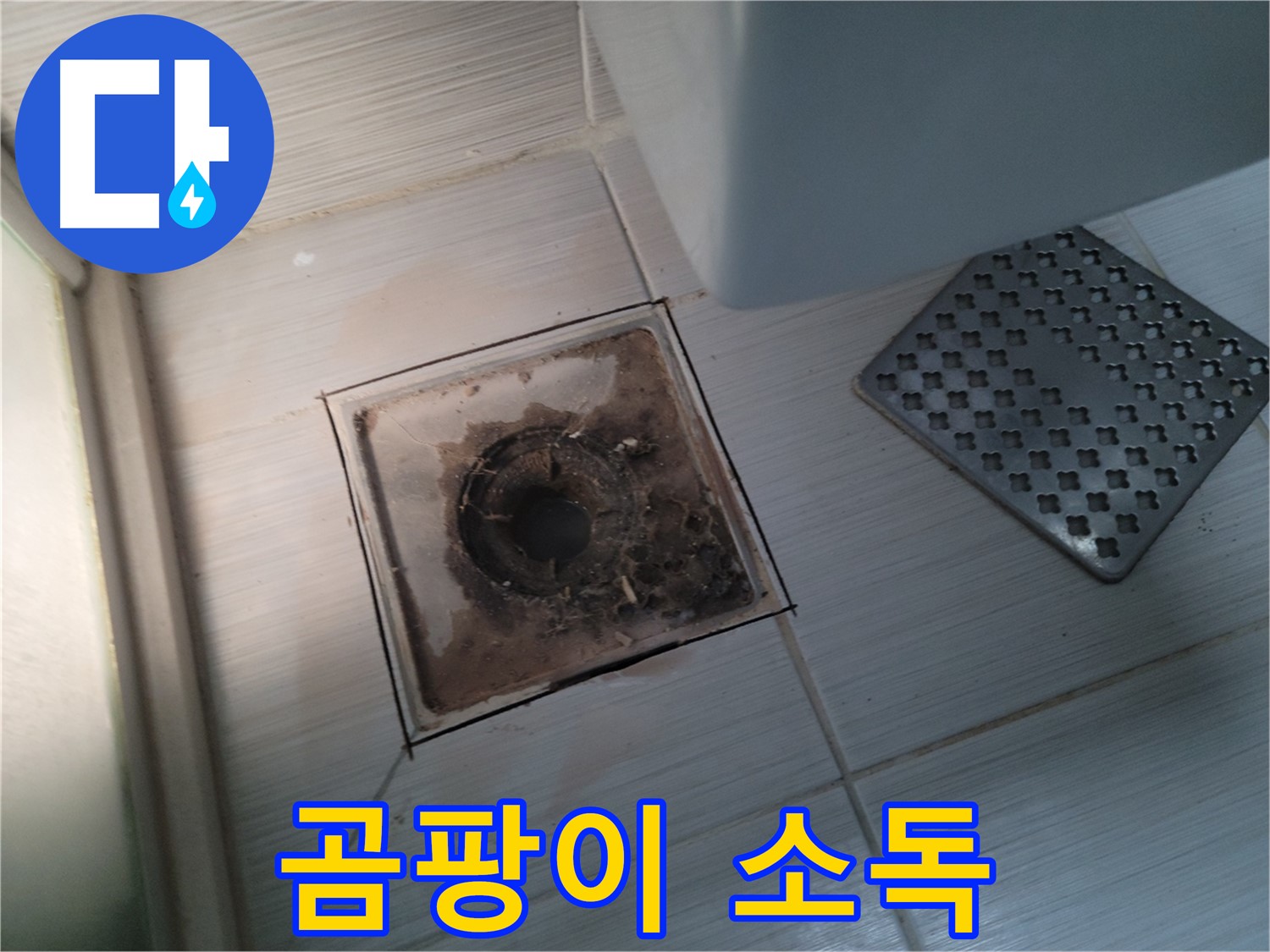 욕실 배수구 - 곰팡이 천국 - 살균 소독으로 깨끗하게