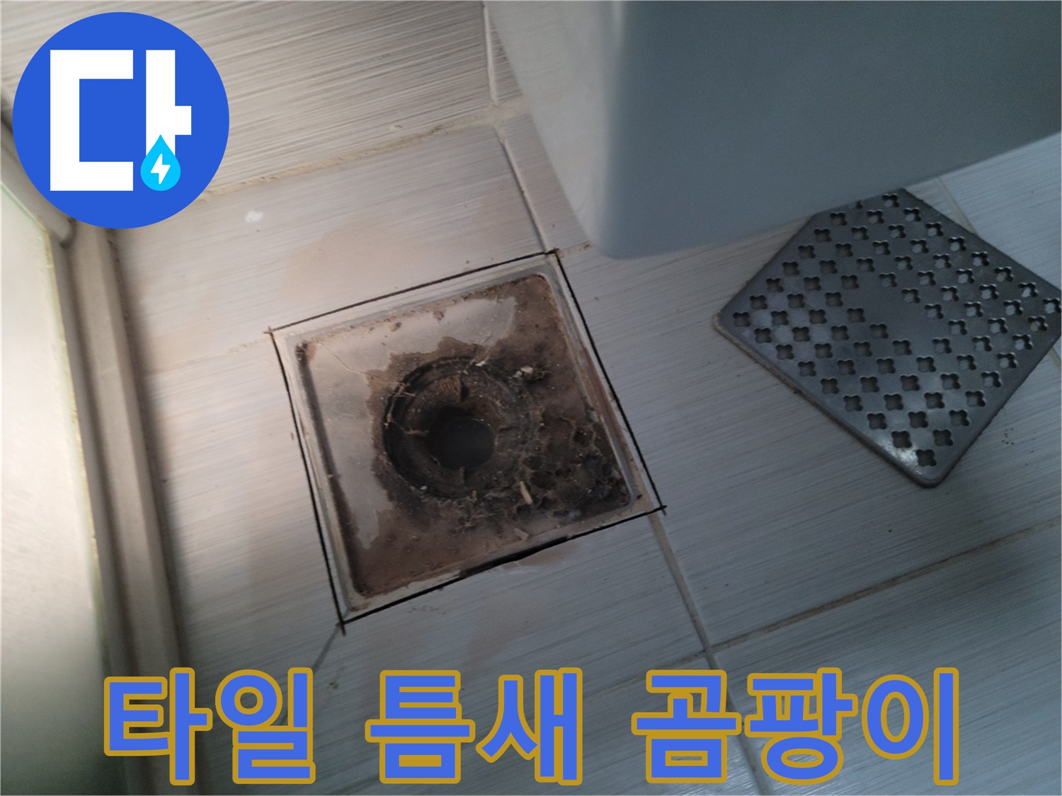 욕실 배수구 - 타일 틈새 곰팡이 - 싹싹 제거