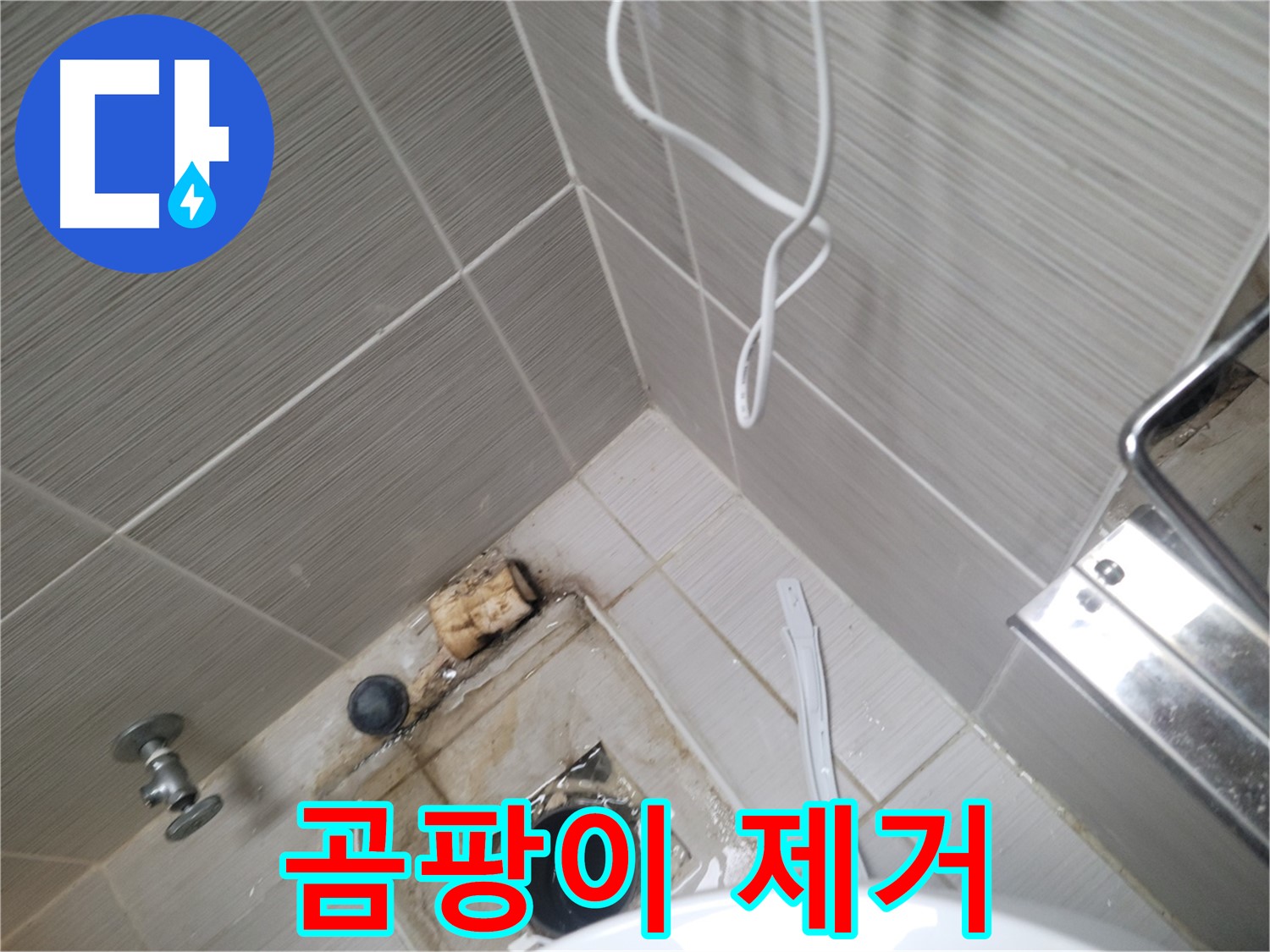 욕실 하수구 주변 - 곰팡이 제거 작업
