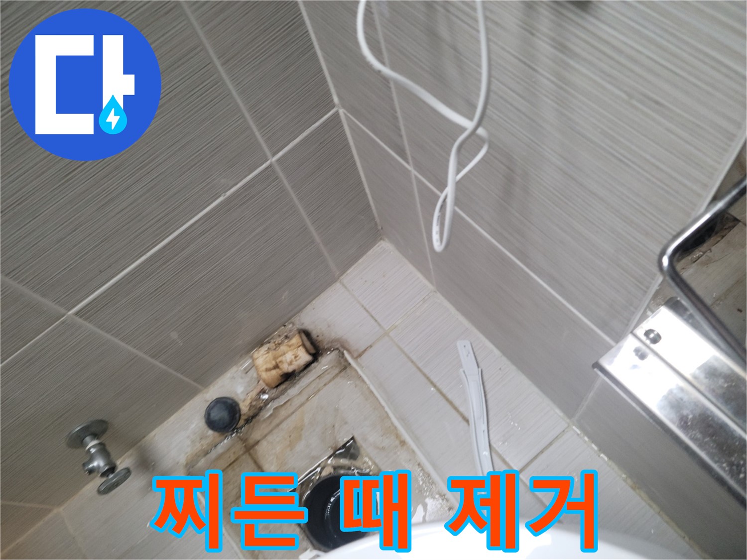 욕실 하수구 주변 - 찌든 때 제거 작업
