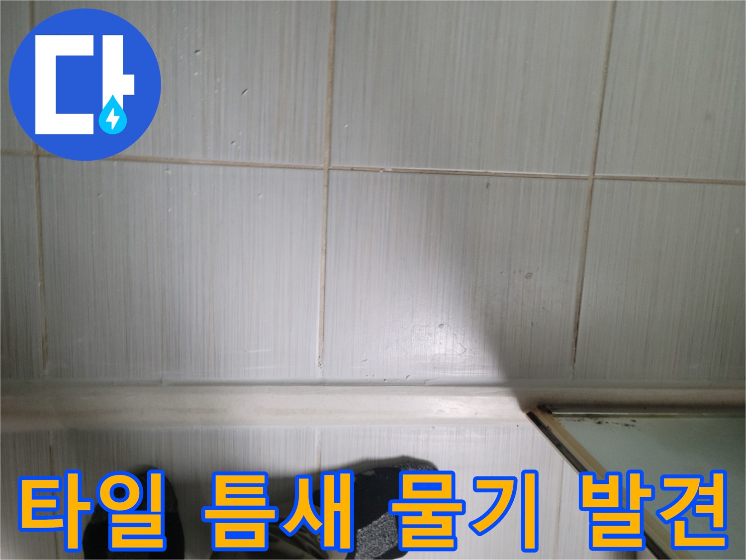 타일 틈새 물기 발견 - 작은 물기라도 놓치지 마세요. 누수의 시작일 수 있습니다.