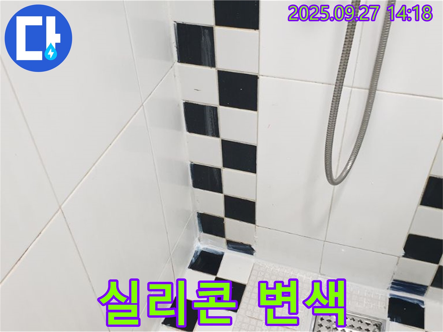 양주시 광적면 광석리 욕실 - 샤워기 헤드 주변 실리콘 변색, 누수 의심