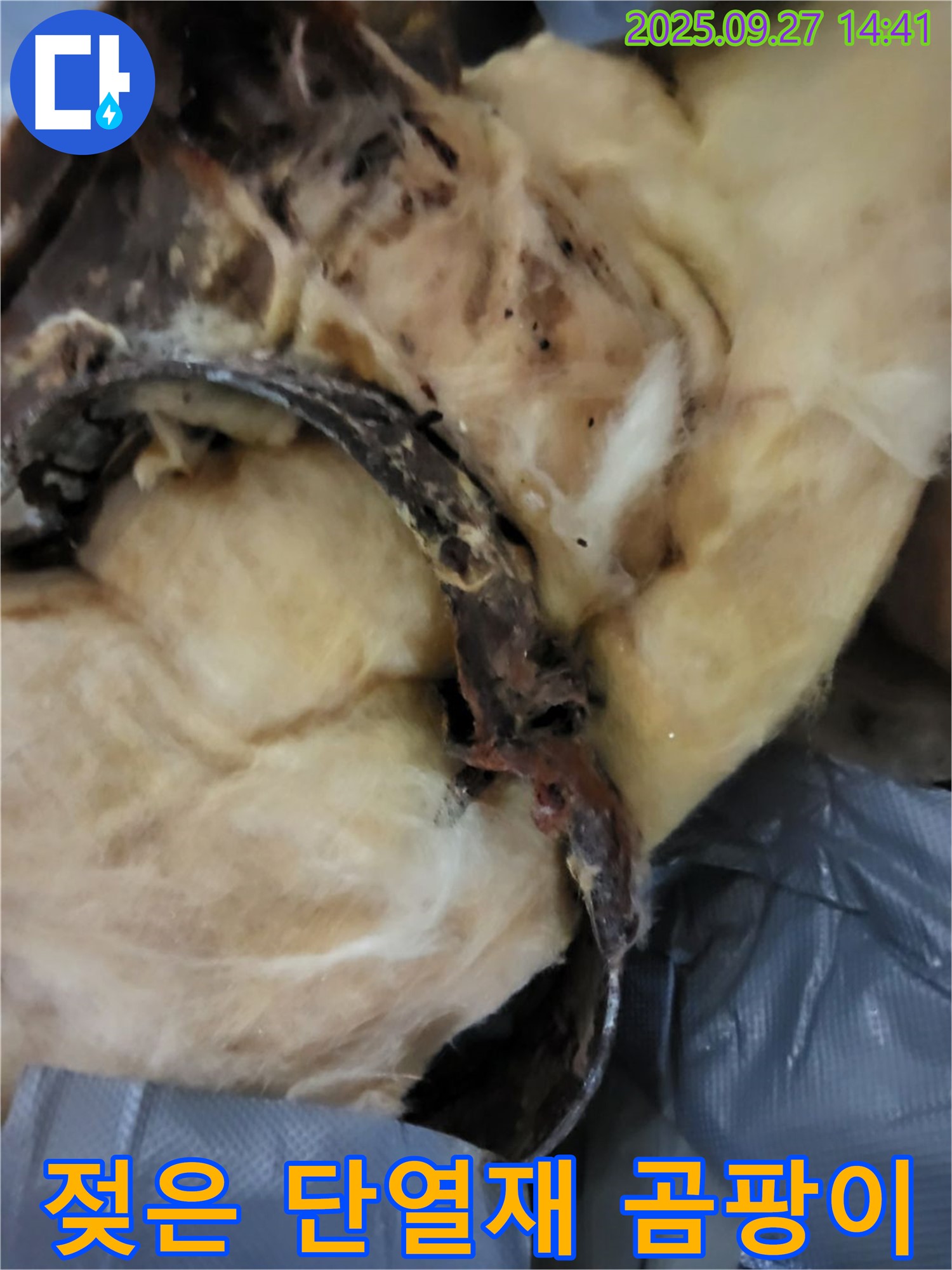 젖은 단열재 - 곰팡이 서식지? - 광적면 누수탐지