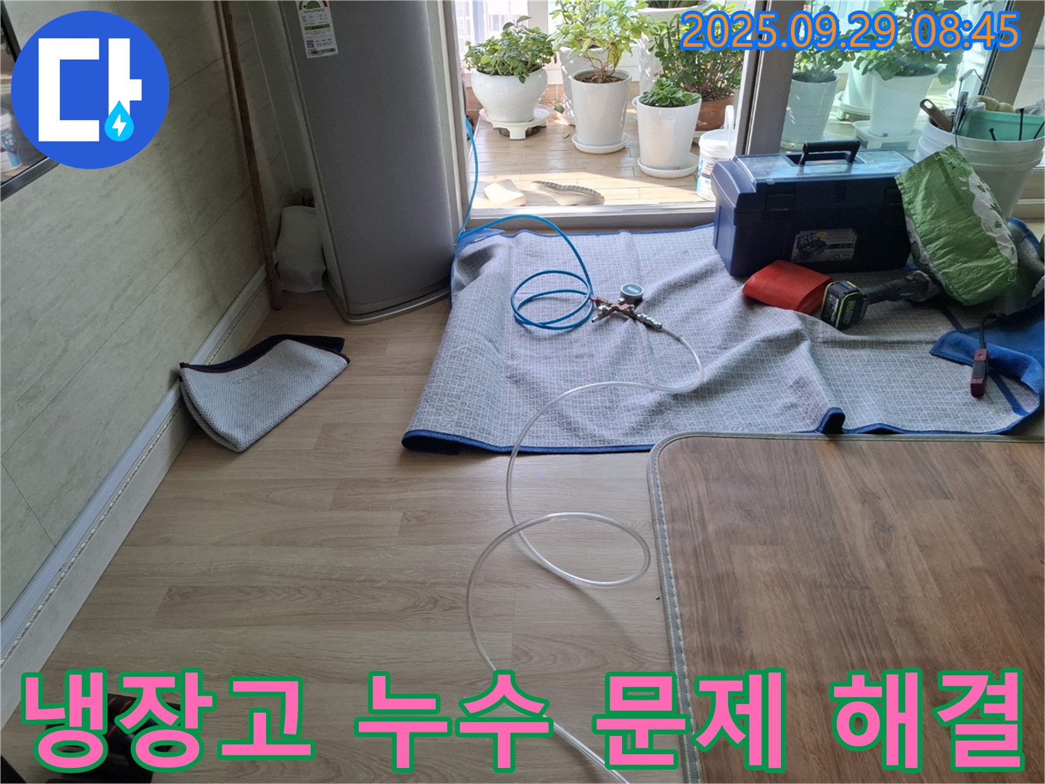 양주 광적면 누수 현장 - 냉장고 누수 문제를 완벽하게 해결하기 위한 작업