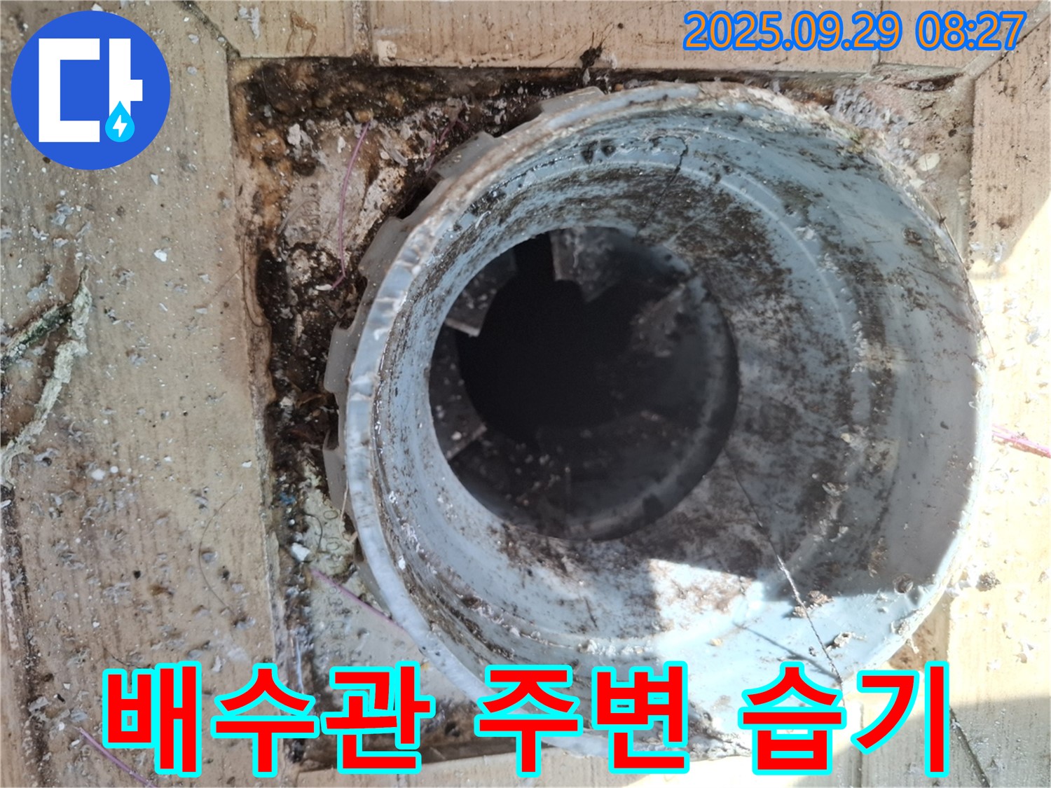 양주시 광적면 우고리 - 배수관 주변 습기로 인한 누수 의심 상황