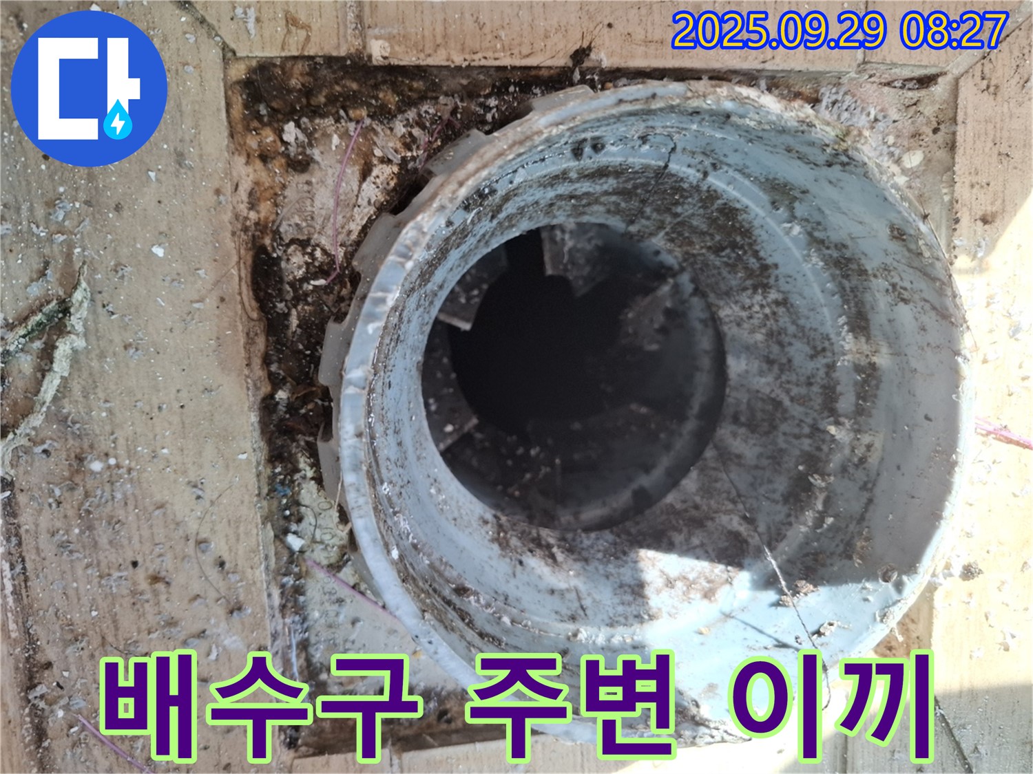 양주시 광적면 우고리 - 배수구 주변 이끼 발생 원인 및 제거 작업