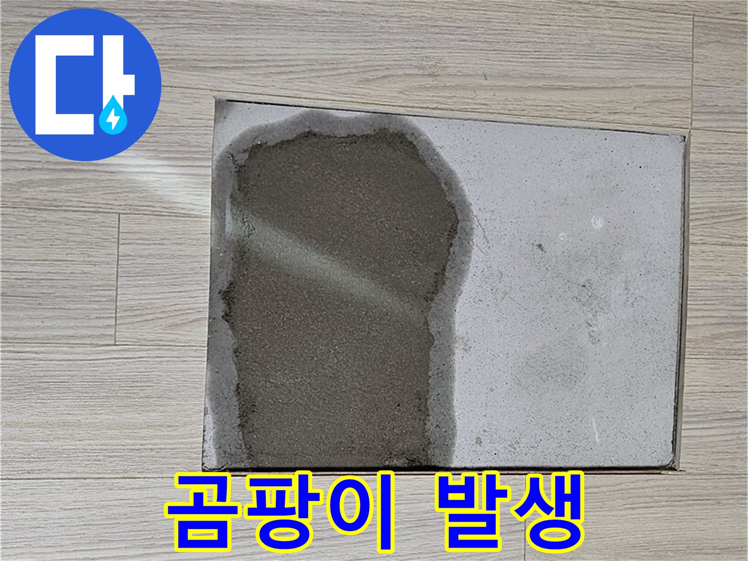 도봉구 도봉동 현대시티 - 마루 밑 물, 곰팡이 발생 - 긴급 누수 해결
