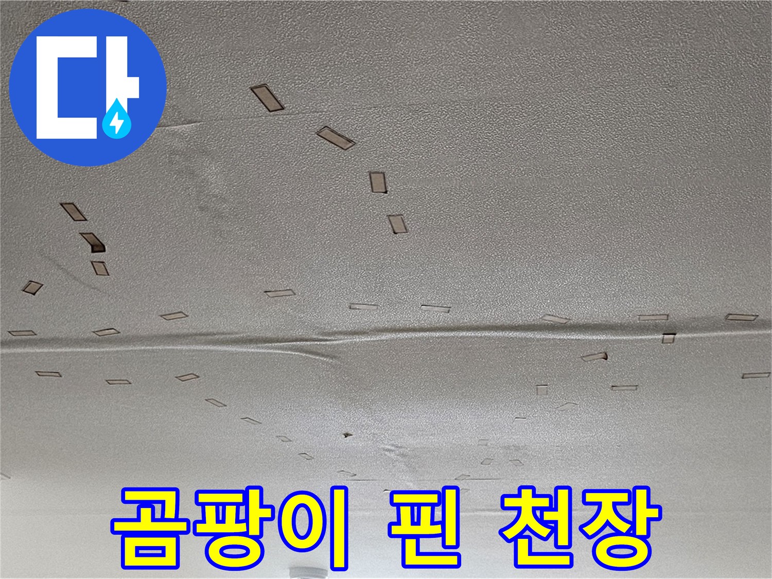 도봉구 도봉동 현대시티 아파트 - 곰팡이 핀 천장 - 긴급 누수 해결 필요