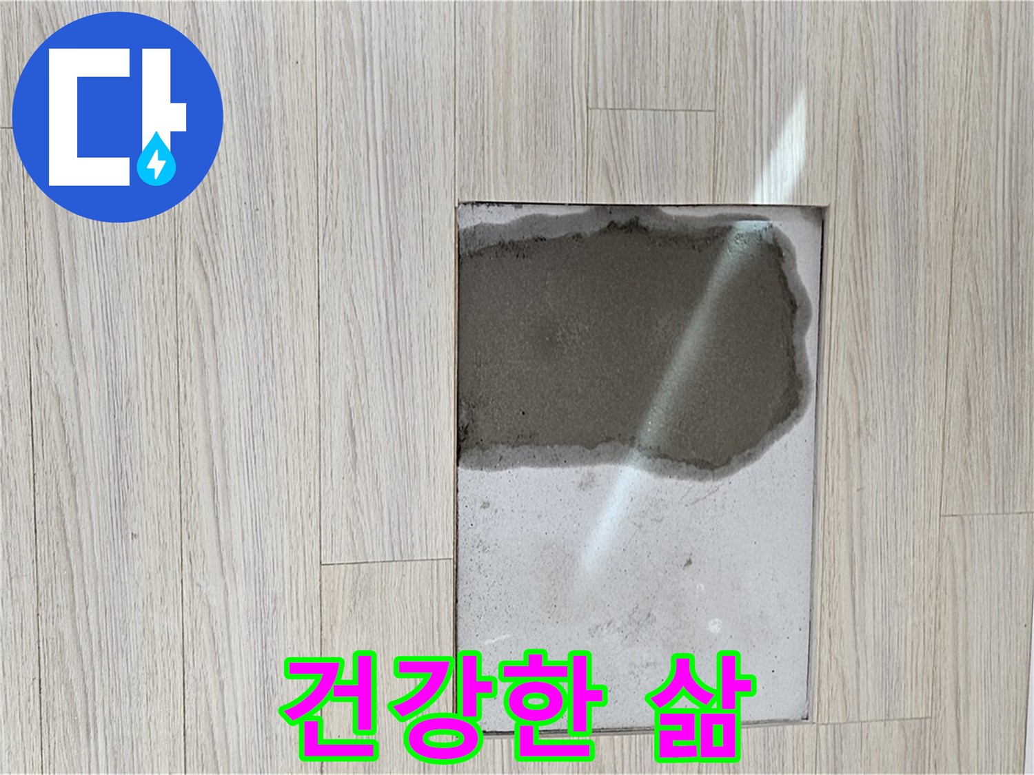 도봉구 현대시티 마루 곰팡이 - 쾌적한 공간, 건강한 삶