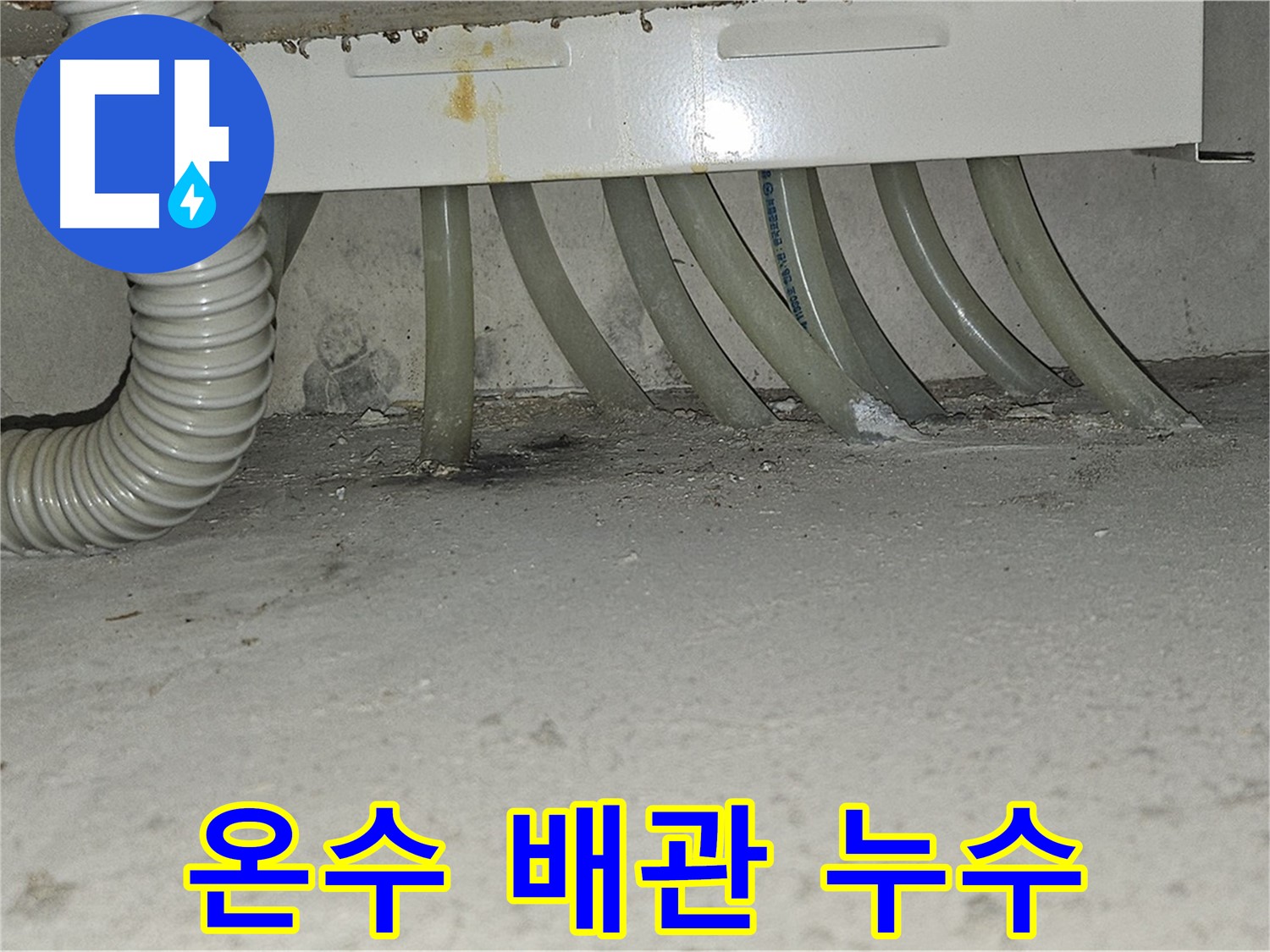 도봉구 현대시티 온수 배관 누수 현장 - 숙련된 기술로 누수 원인을 진단하고 해결합니다.