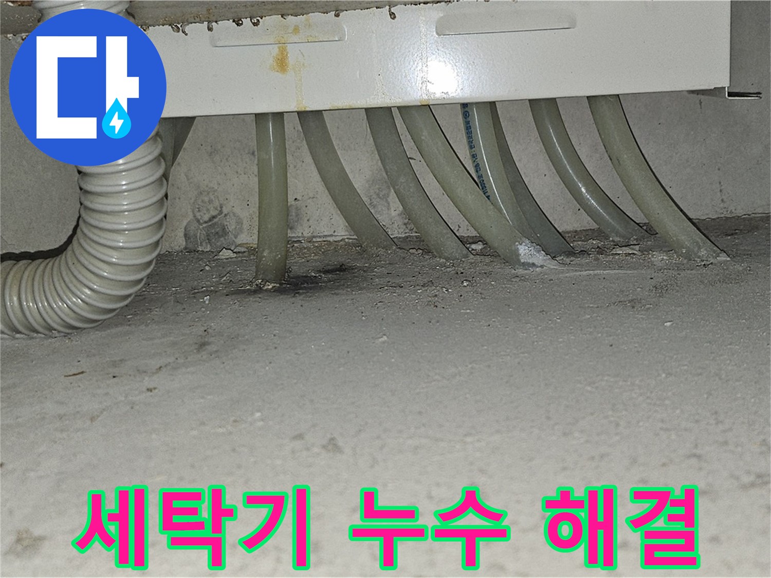 현대시티 세탁기 누수 문제 - 누수 전문가의 정확한 진단과 신속한 해결로 걱정 끝!